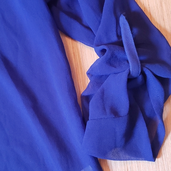 EUC blue sheer button-down shirt - Picture 5 of 8